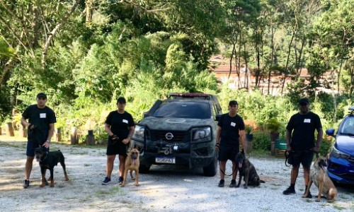 Barra Mansa está com inscrições abertas para campeonato e congresso de cães de polícia